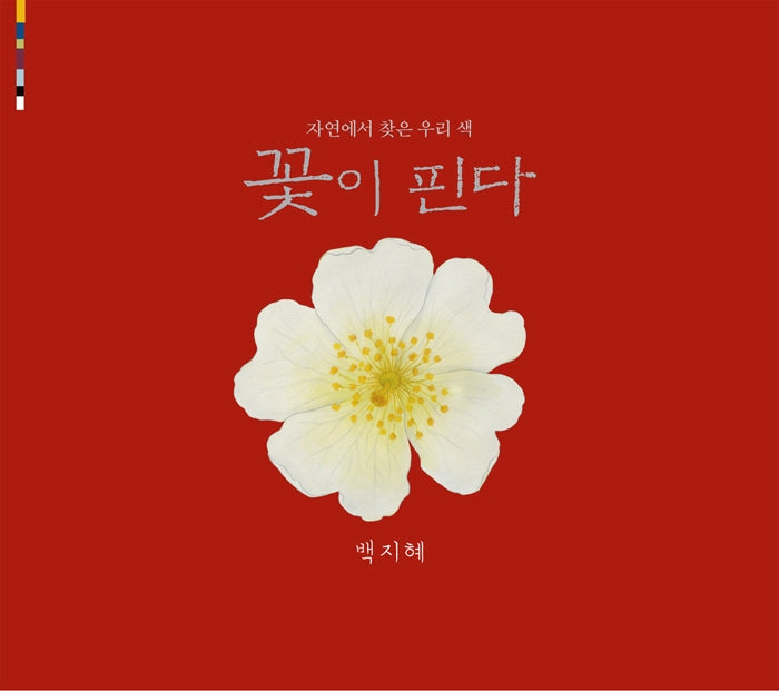 꽃이 핀다 - 자연에서 찾은 우리 색