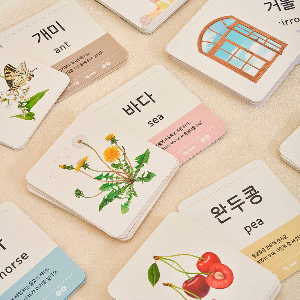 [마이앤트] 세상의 낱말-동물, 자연, 사물 낱말카드