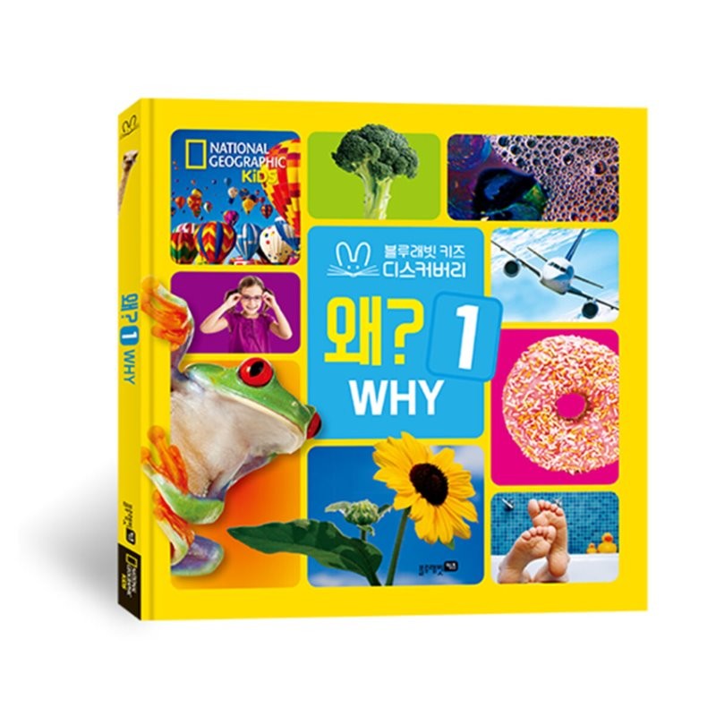 내셔널지오그래픽 키즈 빅북 : 왜 1