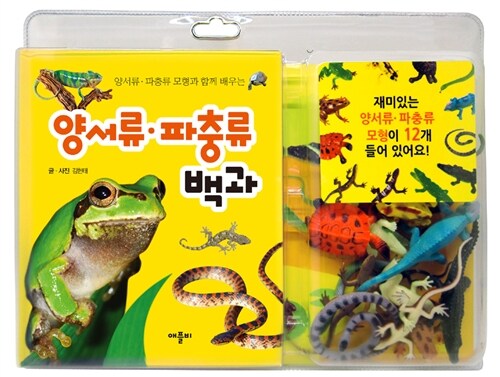 양서류.파충류 백과 (양서류.파충류 모형과 함께 배우는)