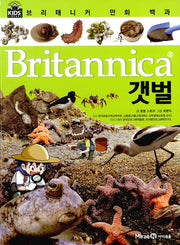 Britannica Comic Encyclopedia: Tidal Flats
