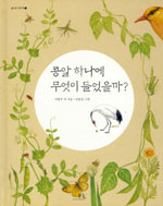 콩알하나에무엇이들었을까?