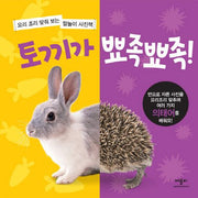 토끼가 뾰족뾰족