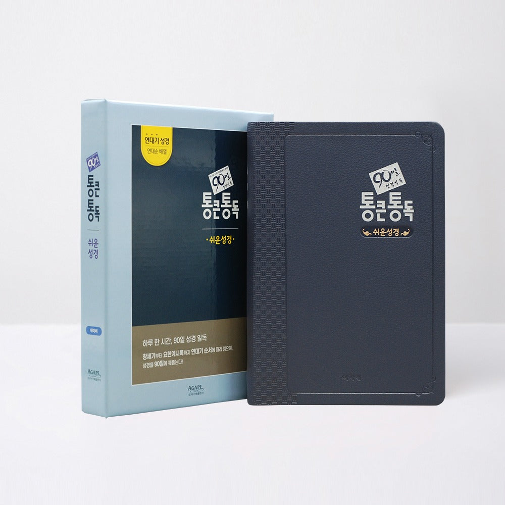 90일 통큰통독 쉬운성경