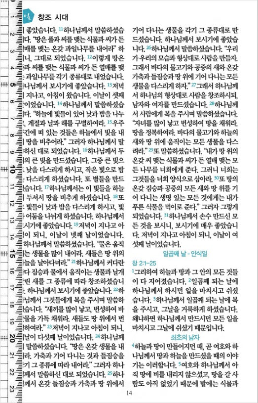 90일 통큰통독 쉬운성경판 대 단본 (색인/이태리신소재/무지퍼/다크브라운) - 품절