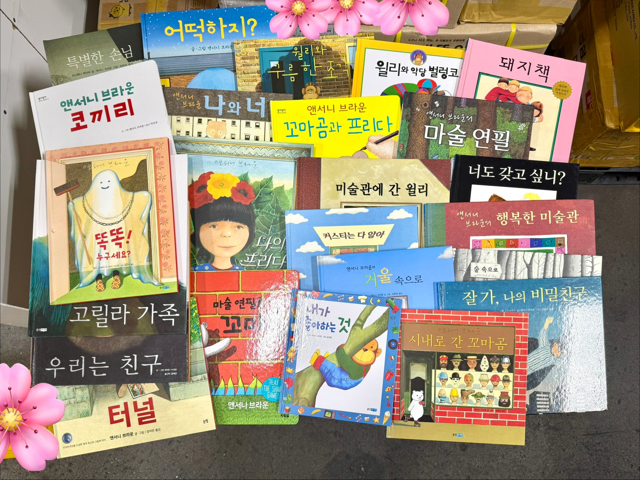 [Used Book] 054932021. Anthony Browne Best Picture Books (Complete Set of 24)