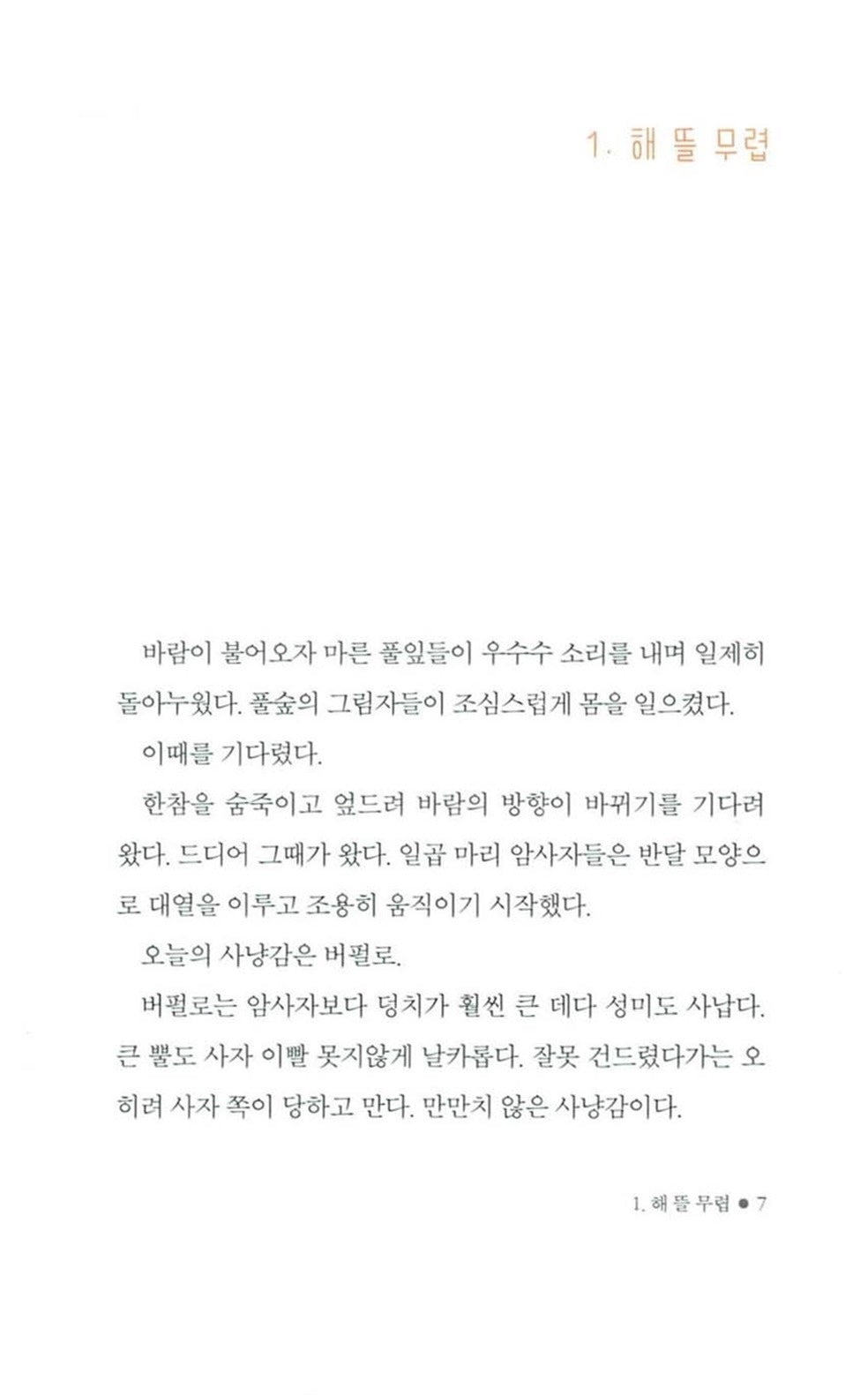 푸른 사자 와니니