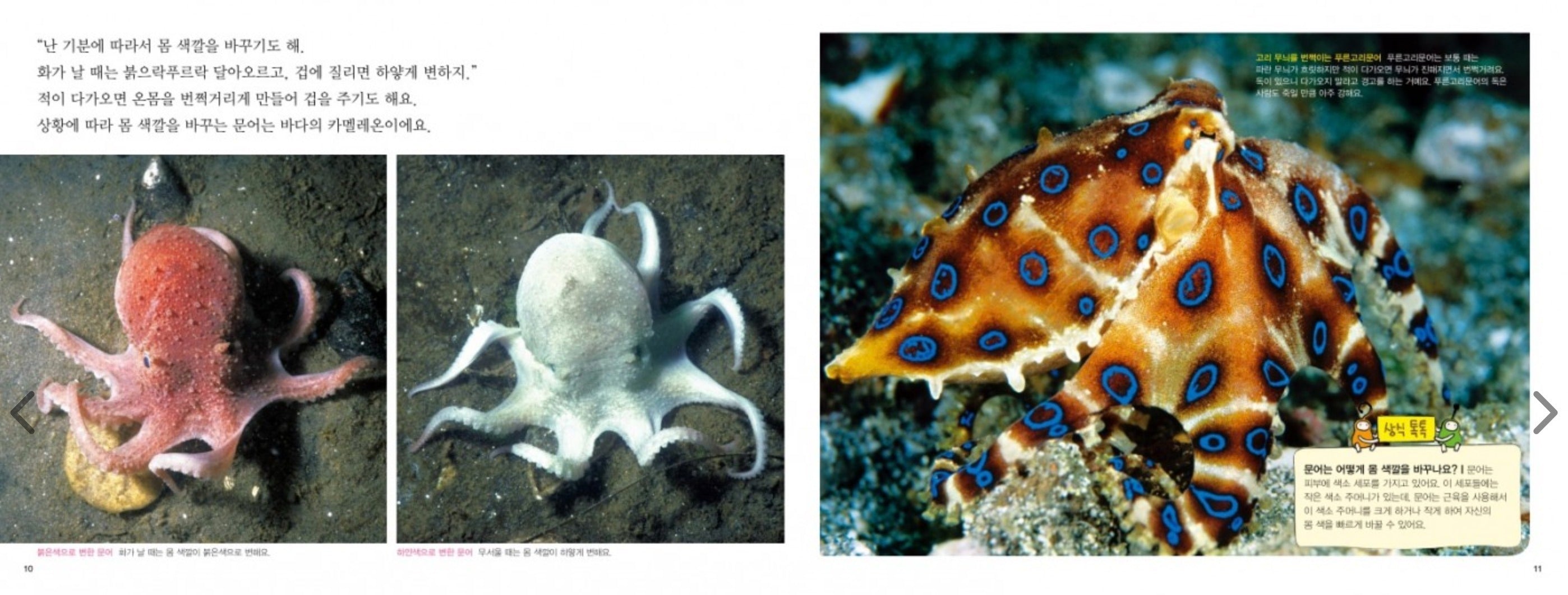 +UP Into Nature
