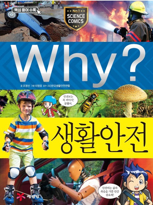 Why? 생활안전 (Why?과학 62)