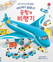 Where, Where Is It Hiding? Airport and Airplane