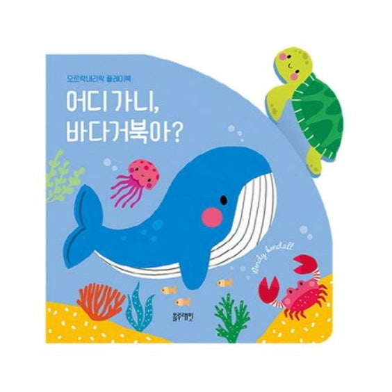 어디 가니, 바다거북아?