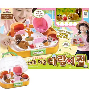 데굴데굴 다람이집