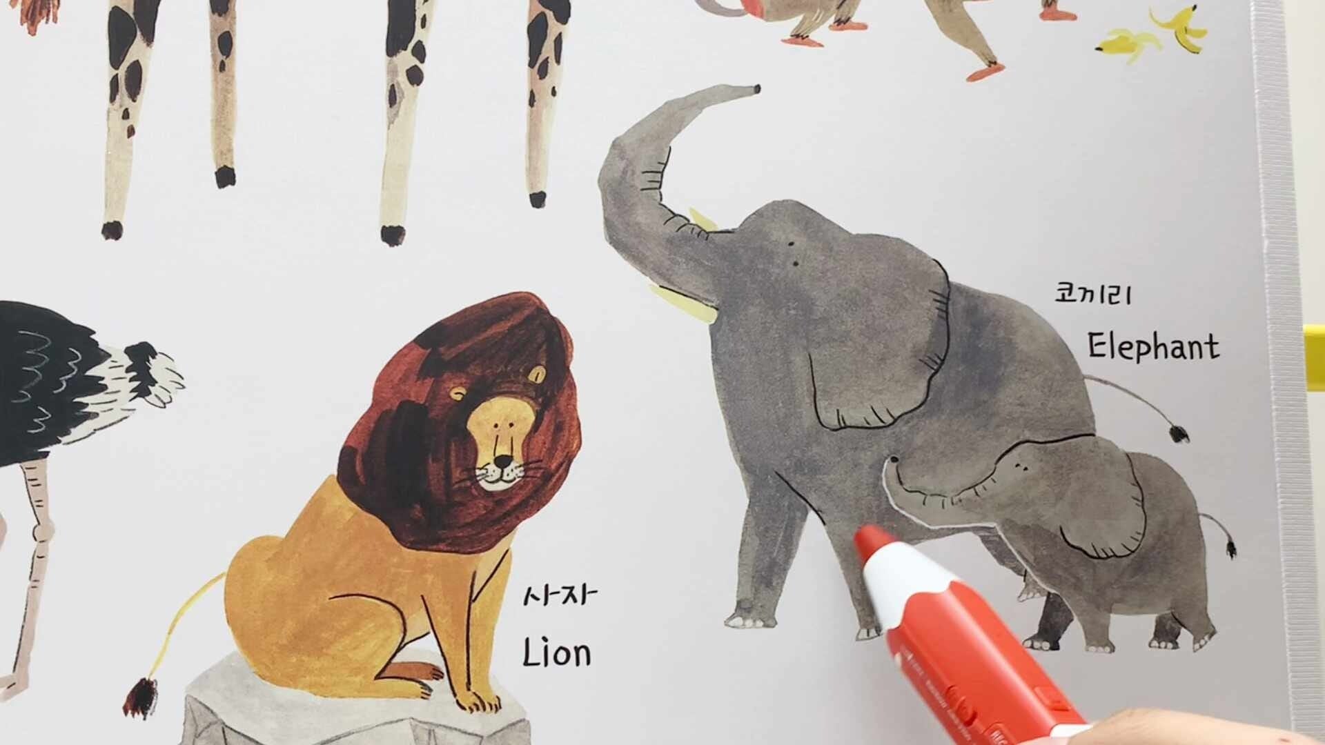 [마이앤트] 그랑아코 미러 아기 병풍
