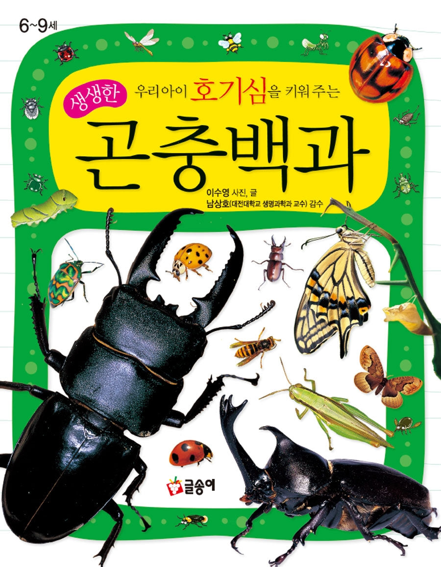 A Vivid Encyclopedia of Insects That Sparks Your Child's Curiosity