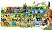 [Renewal] Froebel Vivid Documentary Nature Observation + Total Pen