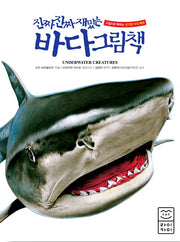 Really Really Fun Ocean Picture Book