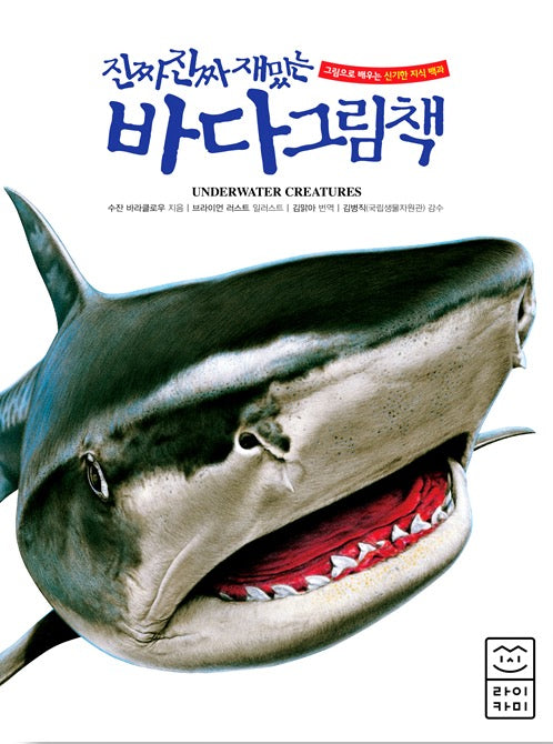 Really Really Fun Ocean Picture Book