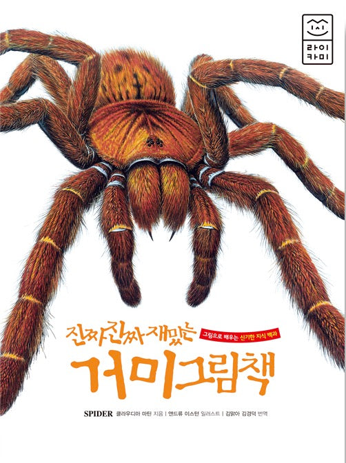Really, Really Fun Spiders