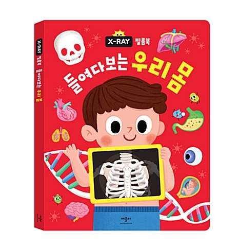 X-RAY 필름북 들여다보는 우리 몸