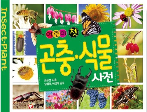 Children's First Insect & Plant Dictionary