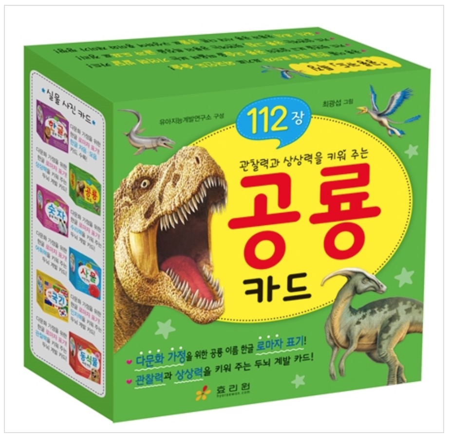 관찰력과 상상력을 키워주는 공룡 카드 - 플래시 카드 112장