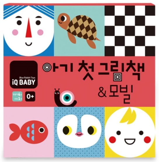 Baby's First Picture Book and Mobile