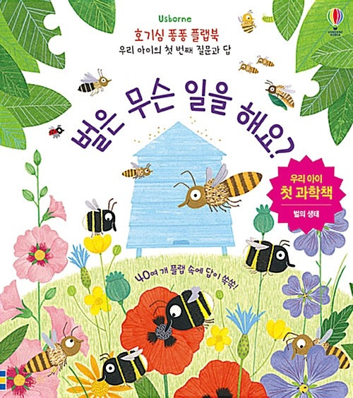 벌은 무슨 일을 해요? - 호기심 퐁퐁 플랩북