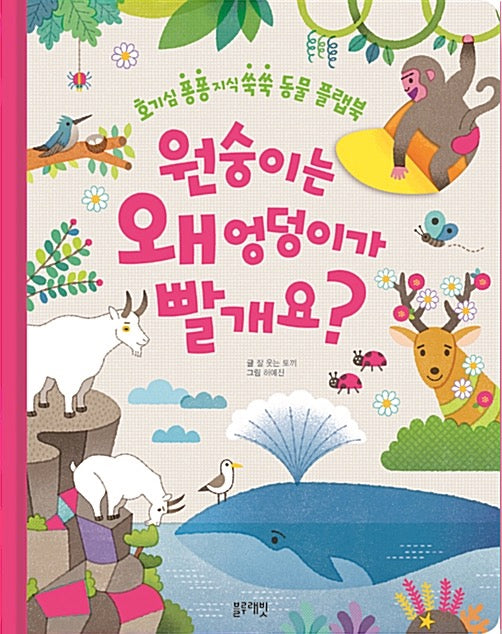 원숭이는 왜 엉덩이가 빨개요? - 호기심 퐁퐁 지식 쑥쑥 동물 플랩북