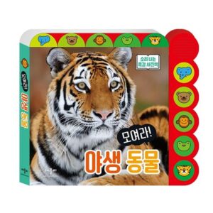 모여라! 야생동물