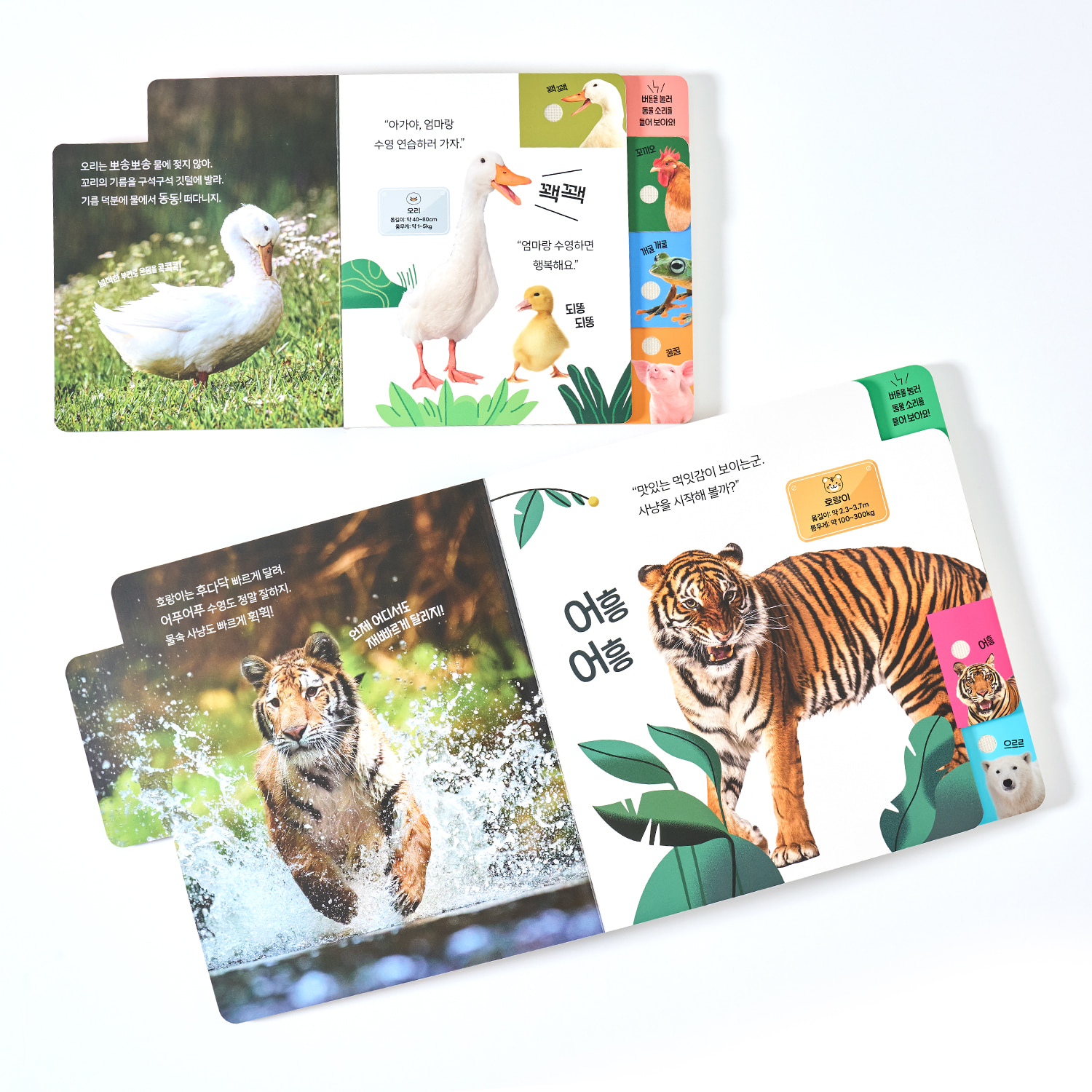 두두스토리 와글와글 동물 100 사운드북(9종) - Image 3