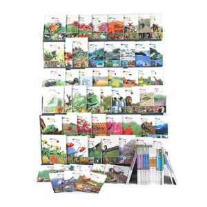 [중고도서]055722021.파브르 자연관찰