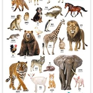 블루래빗 사운드 차트: 동물